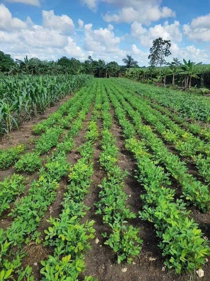 Pack Maraîchage Pro